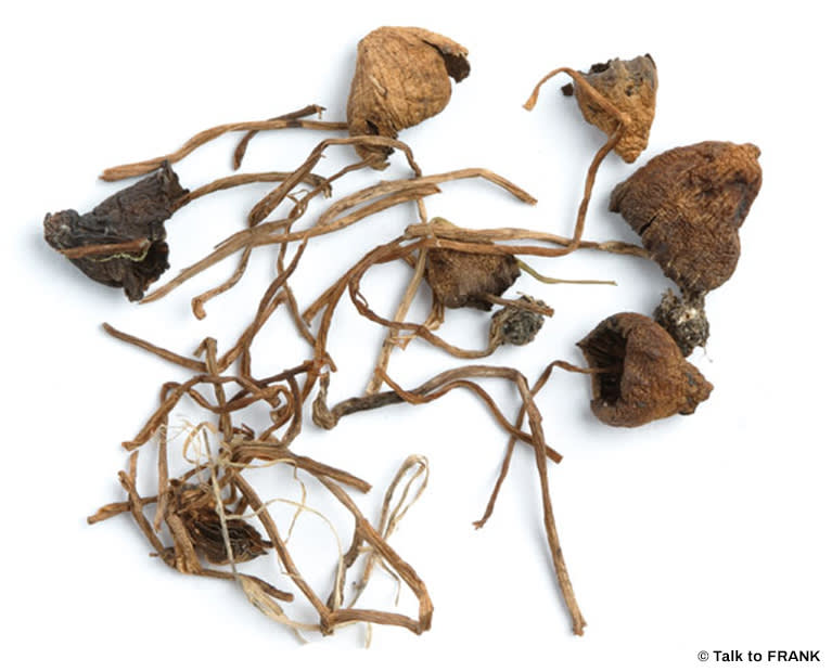 Liberty Caps 14g Liberty Caps 14g - Image 1