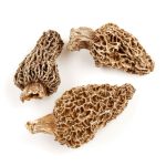 Morel Mushrooms 1lb Bag